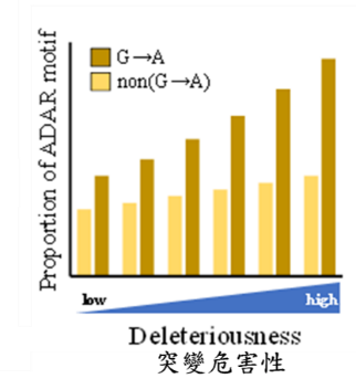 Comparisons of the proportions of SNP sites with the ADAR motif for different deleterious effects of G-to-A rare missense mutations.